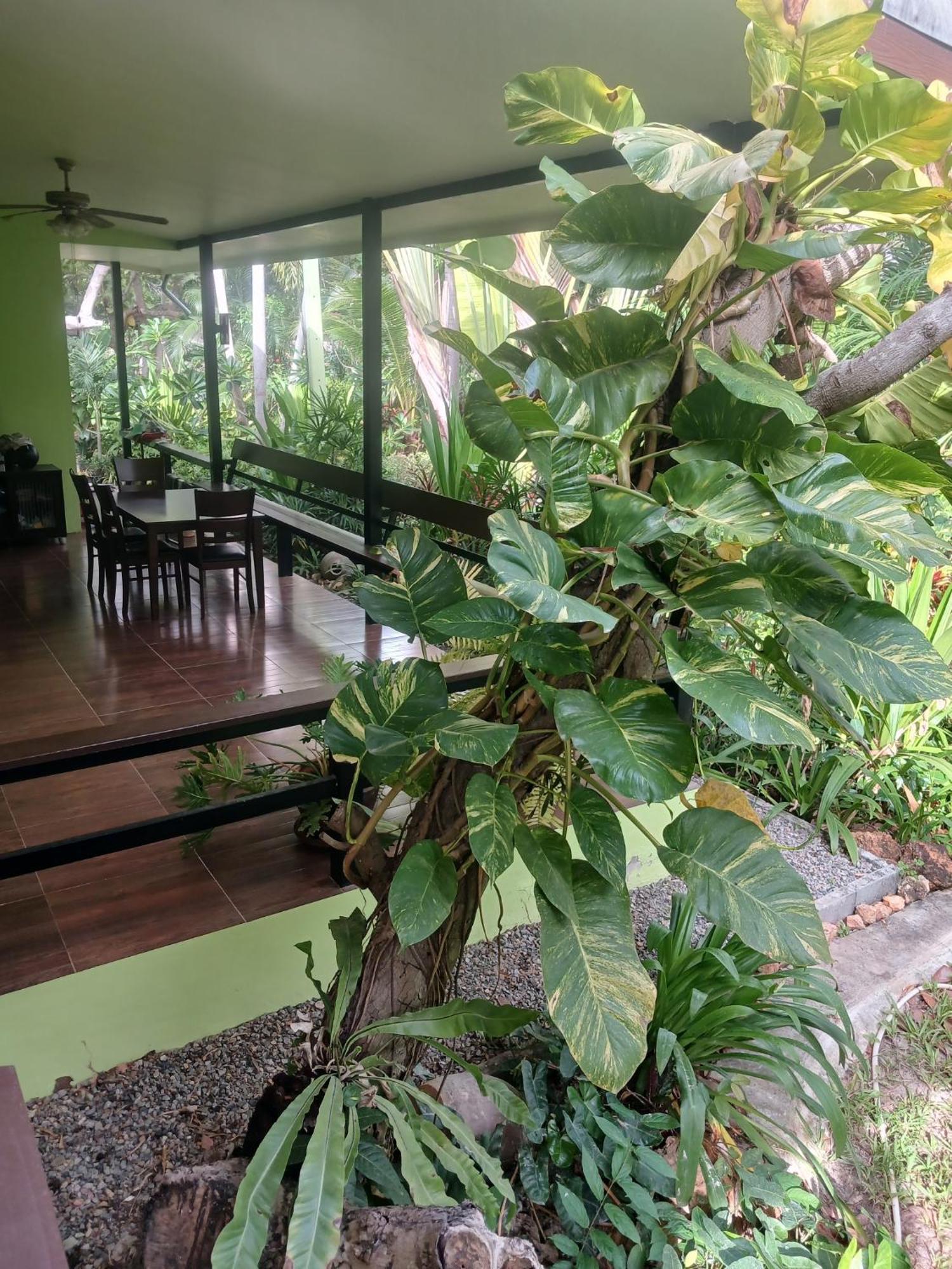 Farm Madame Fleur Apartment Cha-Am Luaran gambar